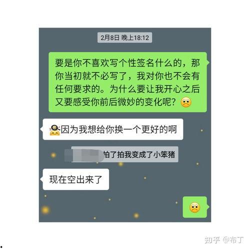 我们的网恋日记,虚拟世界里的甜蜜与挑战